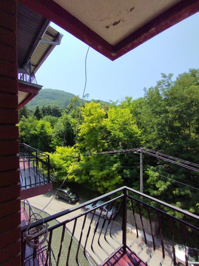 Vila Marko 尼什矿泉村 外观 照片